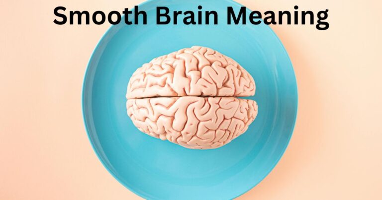 Smooth Brain Meaning