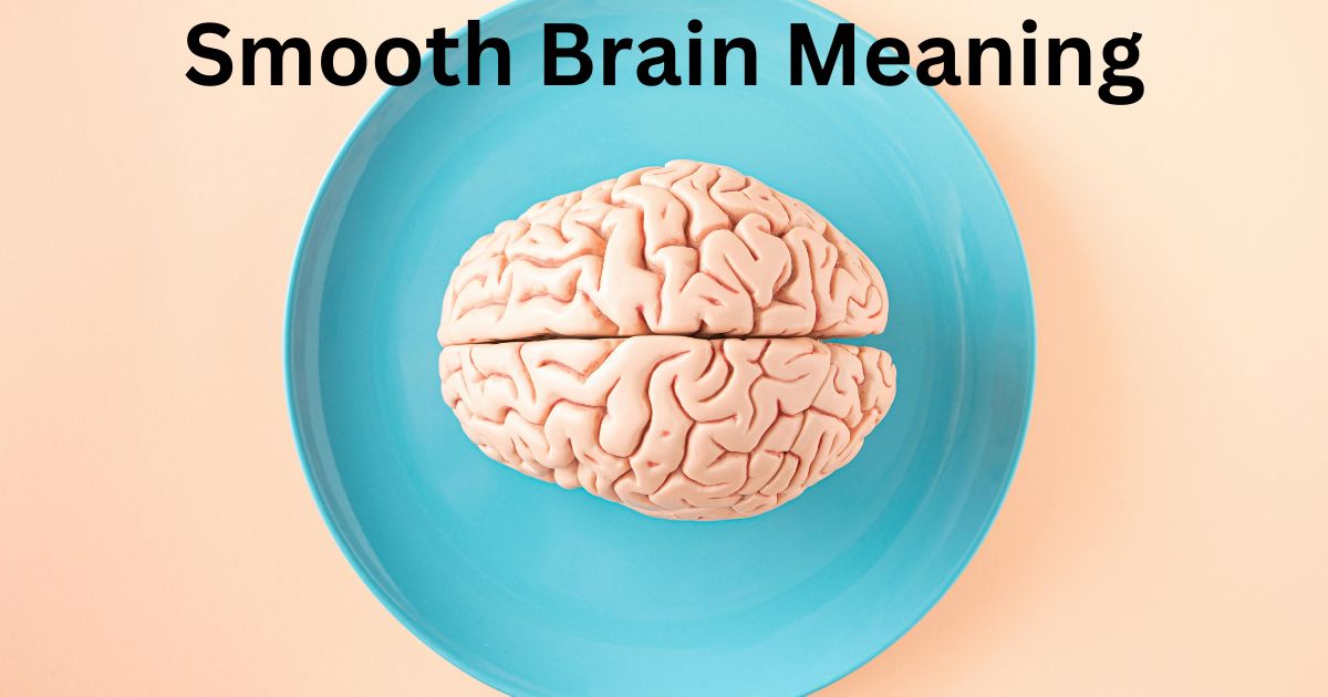 Read more about the article Smooth Brain Meaning: Unraveling the Mysteries In The 2024